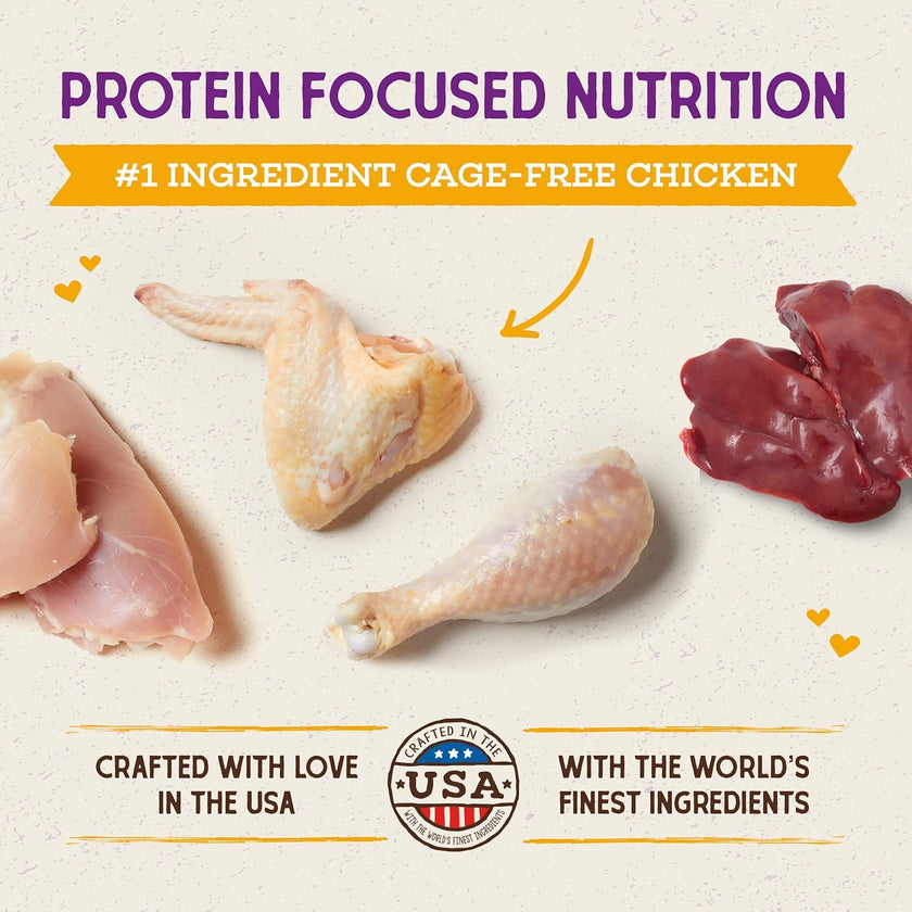 Stella & Chewy’s Raw Coated Premium Kibble Cat Food – Grain Free, Protein Rich Meals – Cage-Free Chicken Recipe – 1.13 kilograms 🍁 All In One Marketplace Canada