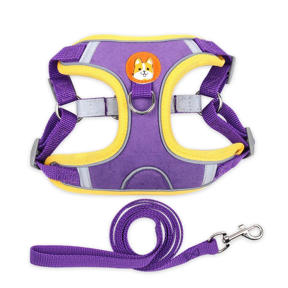 Reflective Soft Mesh Dog & Cat Harness with Leash Set – Blue, Green, Orange, Purple, Red, Grey | S–XL