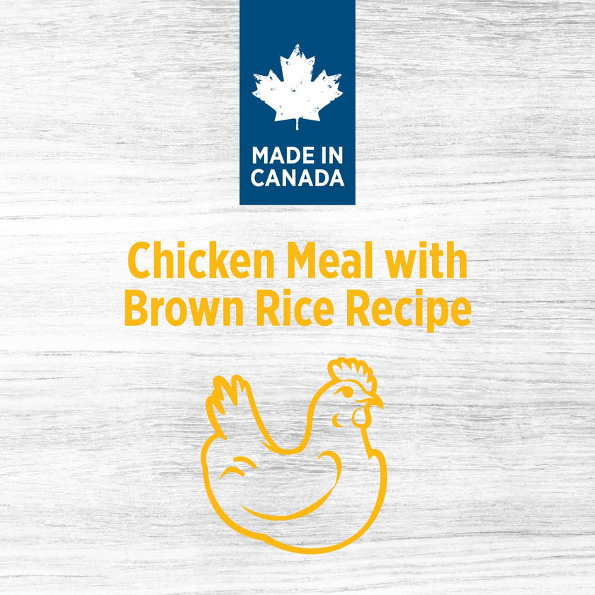 Nutrience Original Adult Medium Breed Dog Food, Chicken & Brown Rice, 11.5 kg 🍁 All In One Marketplace Canada