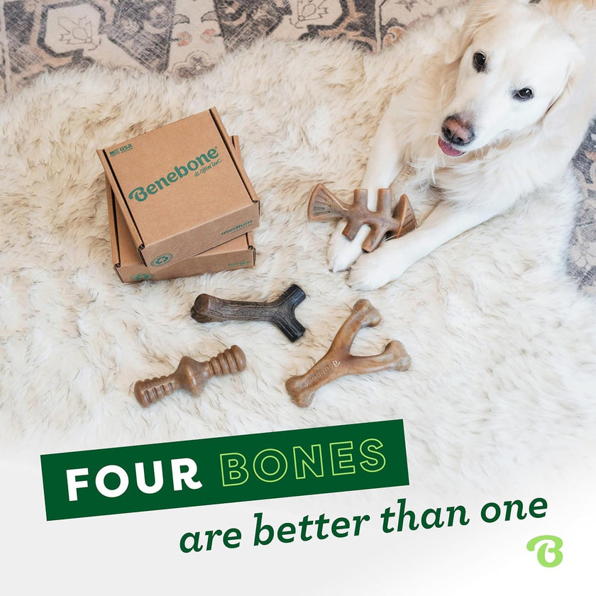 Benebone Small 4-Pack Dog Toys for Aggressive Chewers – Under 30 lbs 🍁 All In One Marketplace Canada