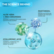 Garnier Hyaluronic Acid Face Serum, With Aloe Vera, Pro-Ceramides, Glycerin, Panthenol, Glass Skin, Reinforce Skin's Moisture Barrier, Hydrating, Replumpling, Normal To Combination, Vegan, 30ml 🍁 All In One Marketplace Canada