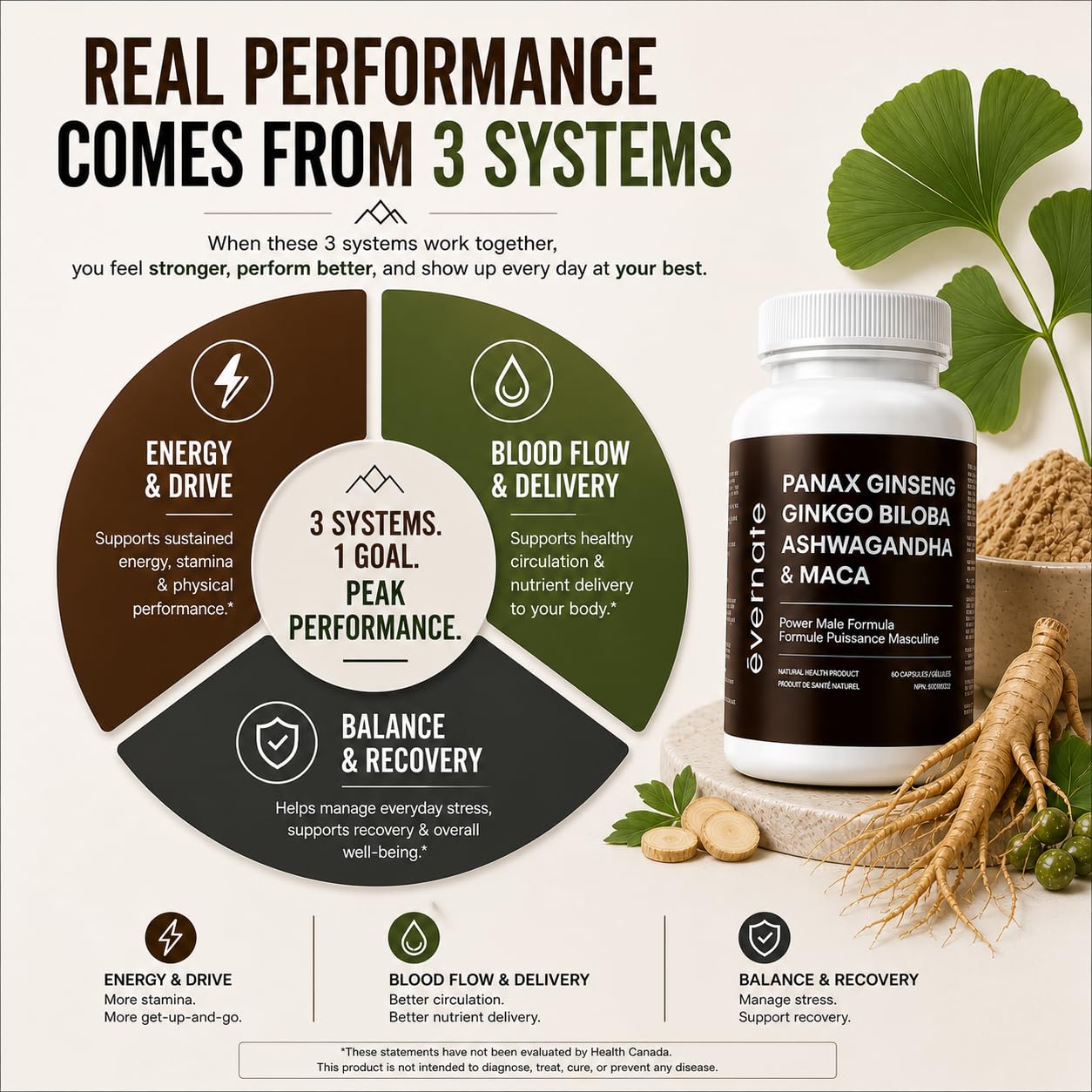 ONE Maca, Ginkgo Biloba, Panax Ginseng, Tribulus, Tongkat Ali, L-Arginine & Ashwagandha – Energy, Stamina, Endurance & Vitality Support – Made in Canada 🍁 All In One Marketplace Canada