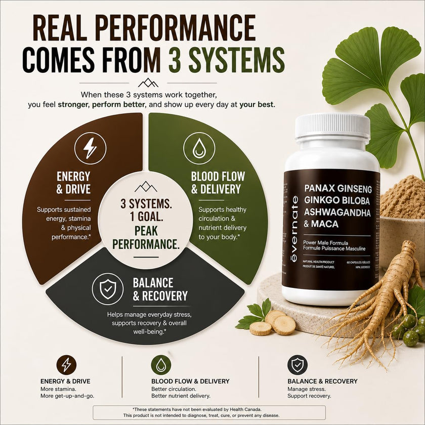 ONE Maca, Ginkgo Biloba, Panax Ginseng, Tribulus, Tongkat Ali, L-Arginine & Ashwagandha – Energy, Stamina, Endurance & Vitality Support – Made in Canada 🍁 All In One Marketplace Canada