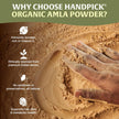 HANDPICK, Amla Powder (397gm/14oz) Halal Amalaki, Non-GMO | 100% Raw and Natural - Lab Tested for Purity | Indian Gooseberry Powder | Resealable Zip Lock Pouch 🍁 All In One Marketplace Canada