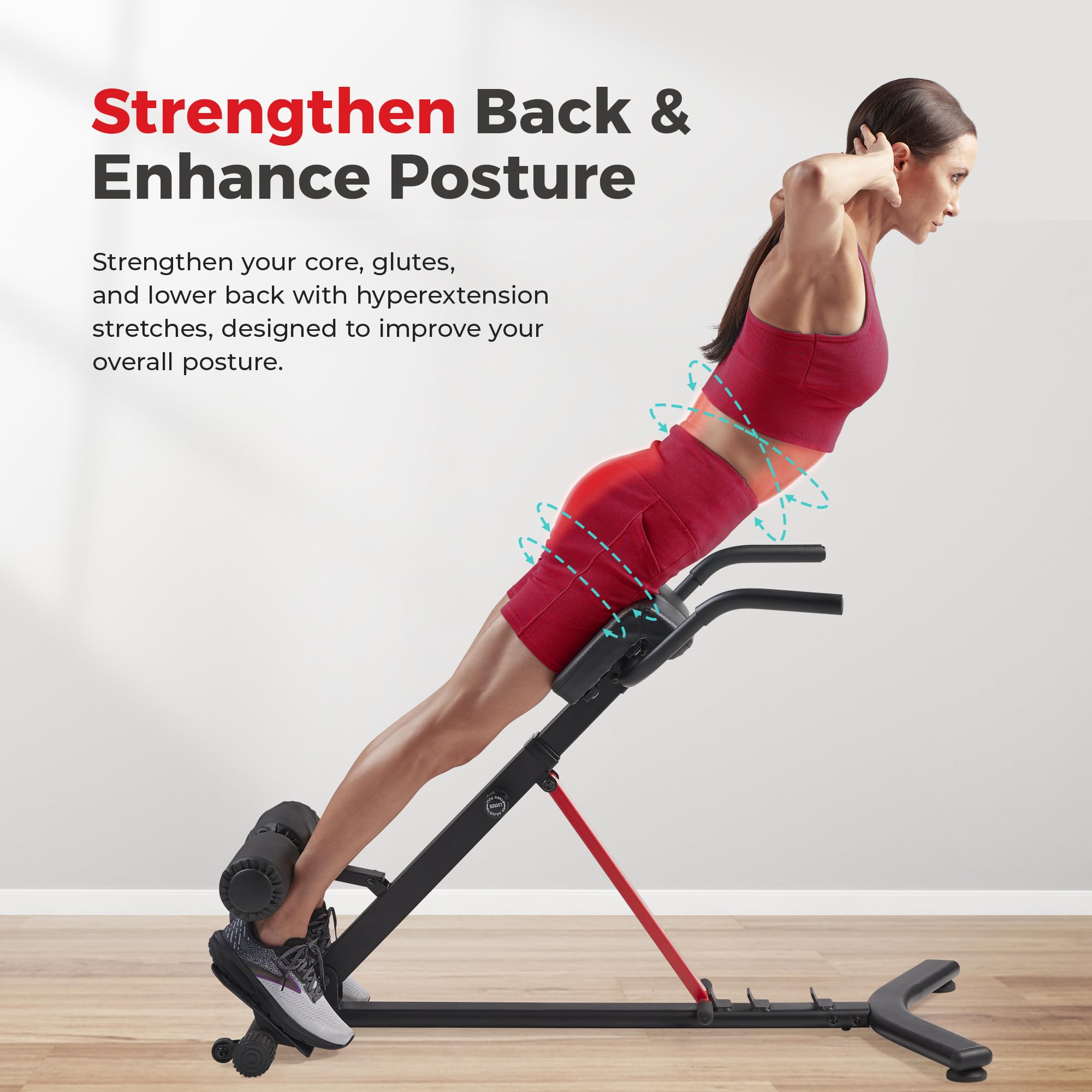 Sunny Health & Fitness Multi-Function Roman Chair Bench with Dip Station 🍁 All In One Marketplace Canada
