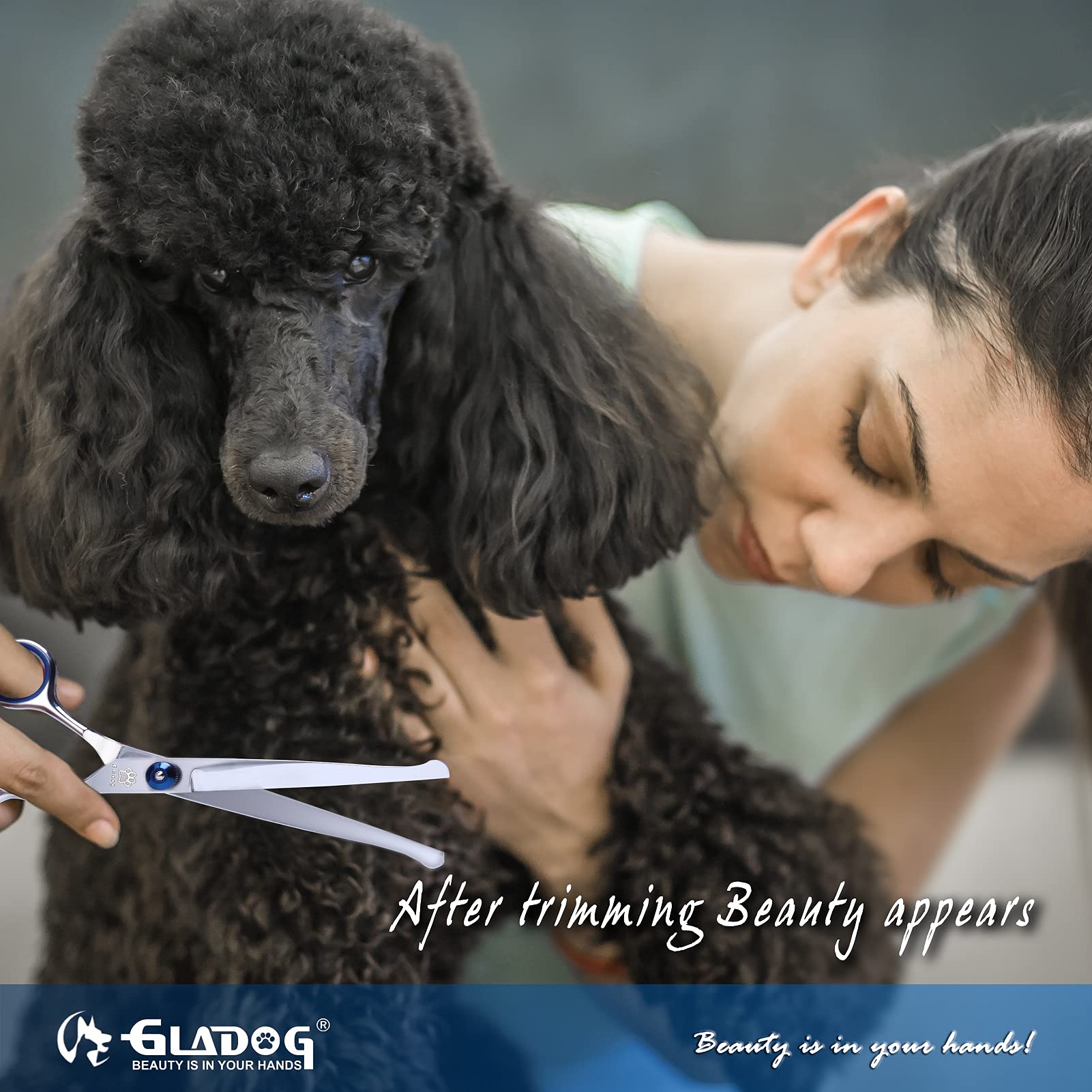GLADOG Dog Grooming Scissors Kit with Safety Round Tips, Professional 6 in 1 Grooming Scissors for Dogs, Sharp and Durable Dog Shears for Dogs Cats Pets 🍁 All In One Marketplace Canada
