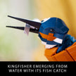 LEGO Icons Kingfisher Model Building Kit - Detailed 3D Puzzle for Adults, 18+ - Collectible, Relaxing DIY Craft for Bird Lovers - Gift for Mother's Day - 10331 🍁 All In One Marketplace Canada