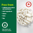 Organika Canadian-Made L-Glutamine - High-Absorption Formula - For Better Immune Defense, Muscle Recovery and Gut Health | 500mg 120vcaps 🍁 All In One Marketplace Canada