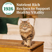 Nutro Wholesome Essentials Adult Dry Cat Food, Chicken Flavour, 1.36kg 🍁 All In One Marketplace Canada