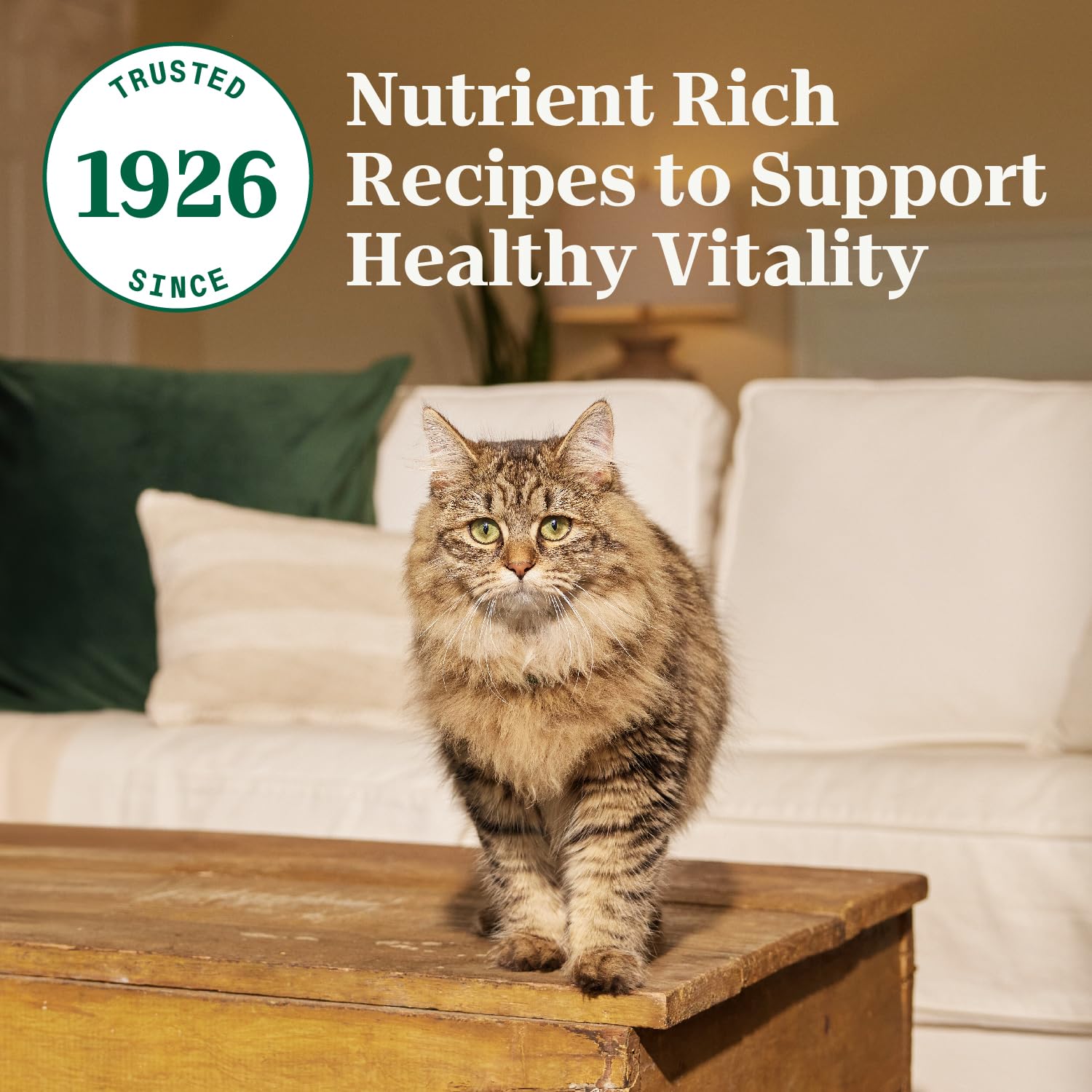 Nutro Wholesome Essentials Adult Dry Cat Food, Chicken Flavour, 1.36kg 🍁 All In One Marketplace Canada