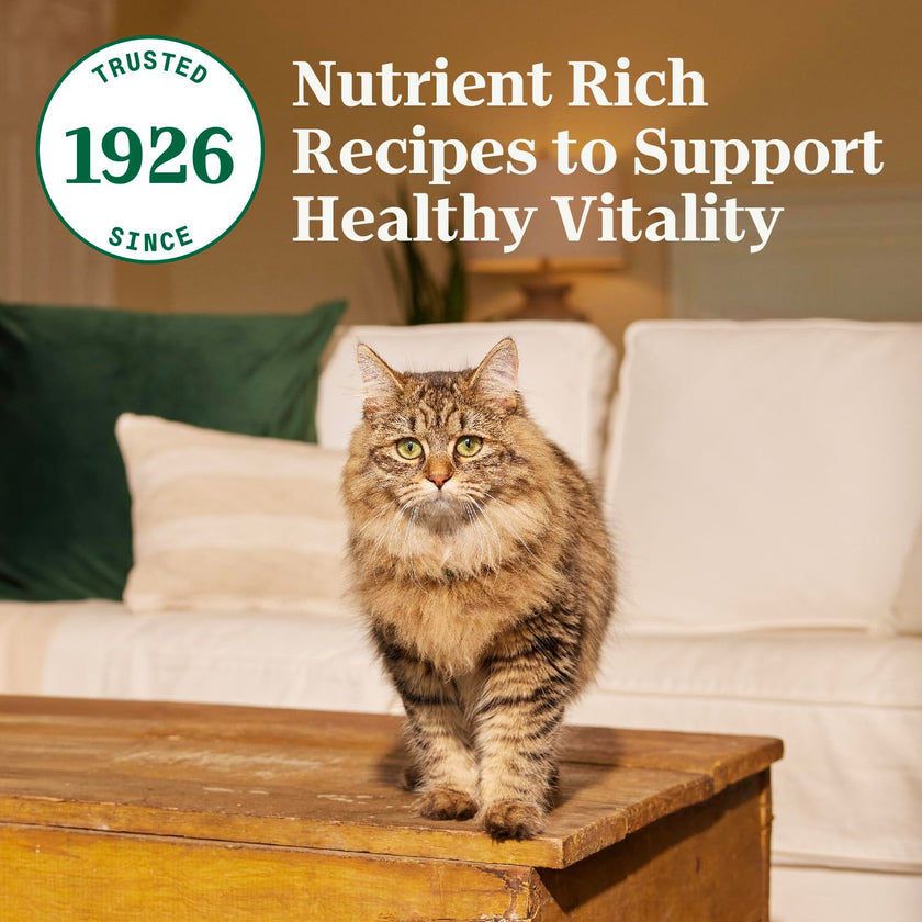 Nutro Wholesome Essentials Adult Dry Cat Food, Chicken Flavour, 1.36kg 🍁 All In One Marketplace Canada