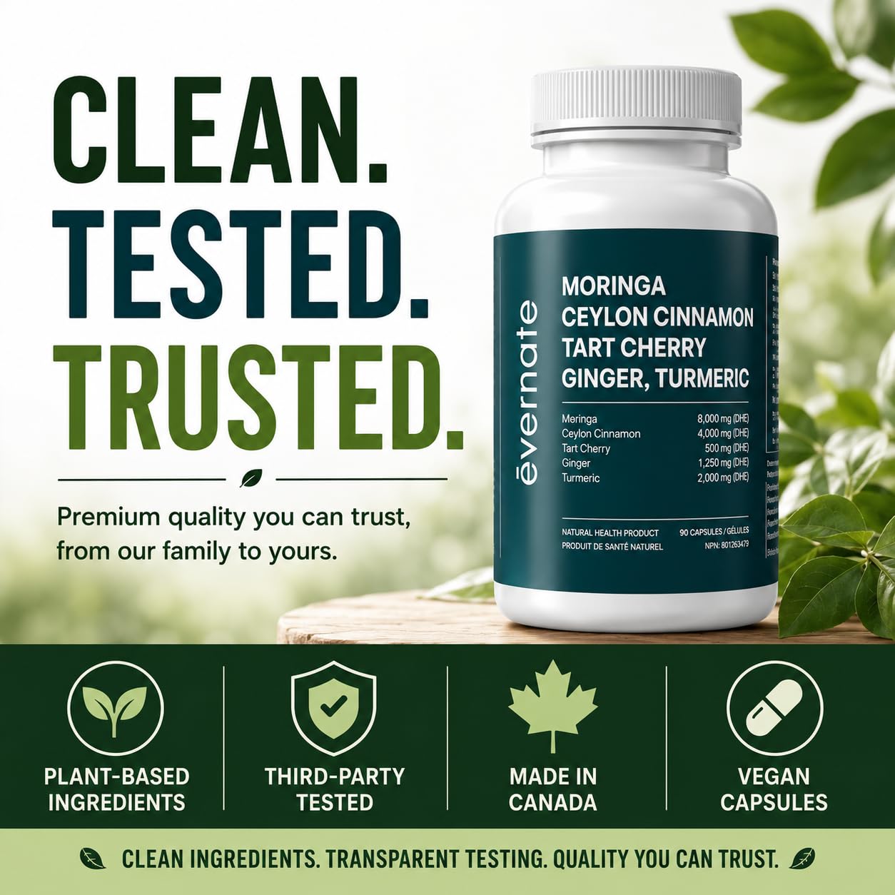 ALL-IN-ONE Moringa 8000 mg with Ceylon Cinnamon 4000 mg, Tart Cherry, Turmeric, Ginger & Garlic (Per Serving: 2 Capsules) – Antioxidant, Detox, Energy & Metabolic Support – Made in Canada 🍁 All In One Marketplace Canada