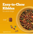 PEDIGREE Vitality+ Dry Food for Adult Dogs, Hearty Beef & Vegetable Flavour, 20kg Bag 🍁 All In One Marketplace Canada