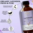 AVD Organics Lavender Essential Oils 100ml | 100% Pure & Natural Lavender Oil Skin | Massage, Aromatherapy, Diffuser, Laundry & Meditation | 3.38 fl. oz 🍁 All In One Marketplace Canada