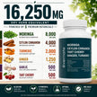 ALL-IN-ONE Moringa 8000 mg with Ceylon Cinnamon 4000 mg, Tart Cherry, Turmeric, Ginger & Garlic (Per Serving: 2 Capsules) – Antioxidant, Detox, Energy & Metabolic Support – Made in Canada 🍁 All In One Marketplace Canada