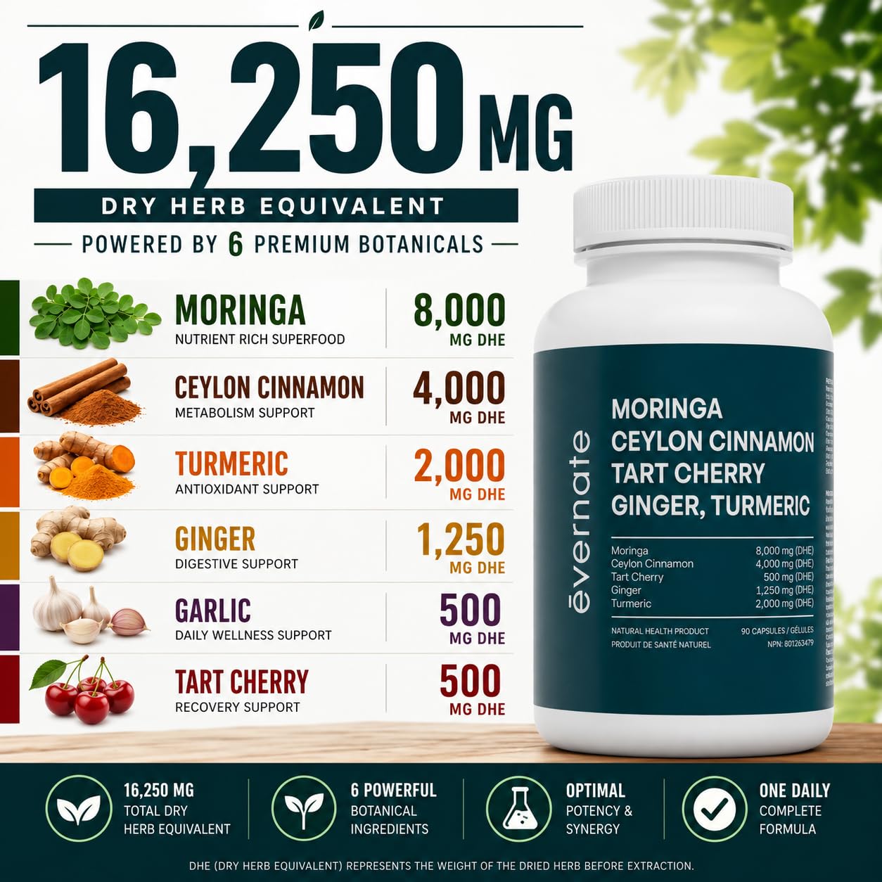 ALL-IN-ONE Moringa 8000 mg with Ceylon Cinnamon 4000 mg, Tart Cherry, Turmeric, Ginger & Garlic (Per Serving: 2 Capsules) – Antioxidant, Detox, Energy & Metabolic Support – Made in Canada 🍁 All In One Marketplace Canada
