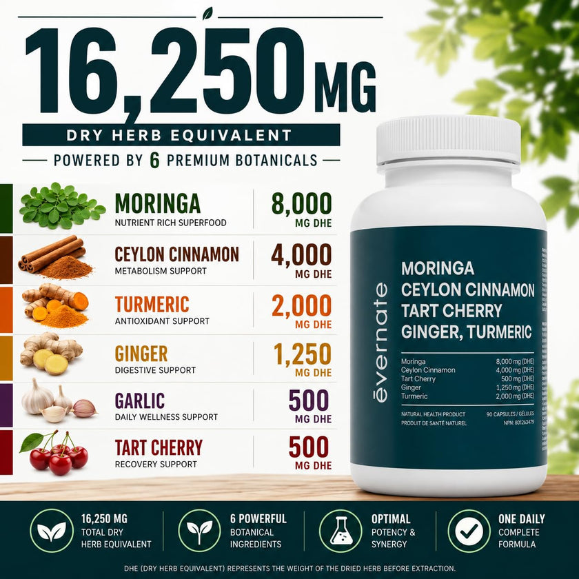 ALL-IN-ONE Moringa 8000 mg with Ceylon Cinnamon 4000 mg, Tart Cherry, Turmeric, Ginger & Garlic (Per Serving: 2 Capsules) – Antioxidant, Detox, Energy & Metabolic Support – Made in Canada 🍁 All In One Marketplace Canada