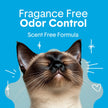 Boxie® Unscented 30 Day Odor Control Clumping Clay Cat & Kitty Litter 16 lb, 99.9% Dust-Free, Hard Flat Top® Clumps, No Fragrances No Fillers, Long-Lasting, Easy to Scoop 🍁 All In One Marketplace Canada