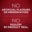 Purina ONE True Instinct Dry Dog Food, Chicken & Duck 6kg 🍁 All In One Marketplace Canada