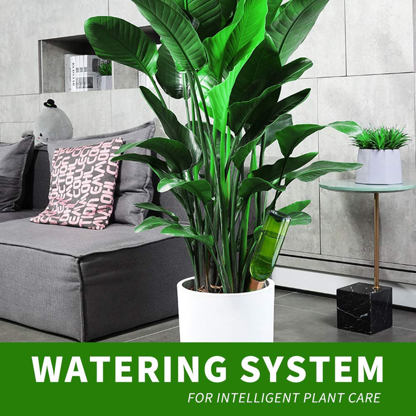 Fu Store 10PCS Plant Watering Stakes Automatic Plant Drippers Waterers for Vacations Plant Watering Devices Terracotta Self Waterinq Spikes for Wine Bottles Great for Indoor Outdoor Plants 🍁 All In One Marketplace Canada