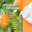 Tide Fresh & Gentle liquid laundry detergent, 100 Loads, Orange Blossom Scent, Gentle laundry soap with nature inspired freshness, 3.9 L 🍁 All In One Marketplace Canada