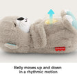 Fisher-Price Baby Toy Soothe ‘n Snuggle Otter, Plush Portable Sound Machine with Breathing Motion & Lights for Newborns Ages 0+ Months 🍁 All In One Marketplace Canada