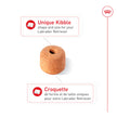 Royal Canin Labrador Retriever Adult Dry Dog Food, 30 lb bag 🍁 All In One Marketplace Canada