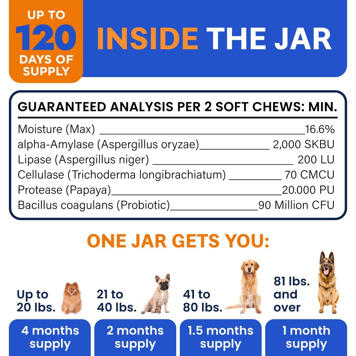 Probiotics for Dogs - Gas, Diarrhea, Allergy, Constipation, Upset Stomach Relief, w/Digestive Enzymes + Prebiotics - Chewable Supplement - Improve Digestion, Immunity - Dog Probiotics Chews - 120Ct 🍁 All In One Marketplace Canada