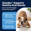 Vetnique Glandex Anal Gland Soft Chews for Dogs, Anal Gland Support, Boot The Scoot Fibre Supplement with Pumpkin, Unique Fiber Blend Probiotics & Digestive Enzymes (Peanut Butter, 60ct Chews) 🍁 All In One Marketplace Canada