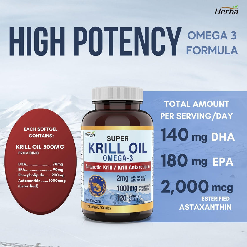 Herba Krill Oil Omega 3 Supplements - 120 Softgels | 1000mg of Antarctic Krill Oil Per Day (2 softgels 500mg each) | Source of Omega 3 Fatty Acids | High Astaxanthin | Premium Grade - 500mg per Soft Gel | Made in Canada 🍁 All In One Marketplace Canada