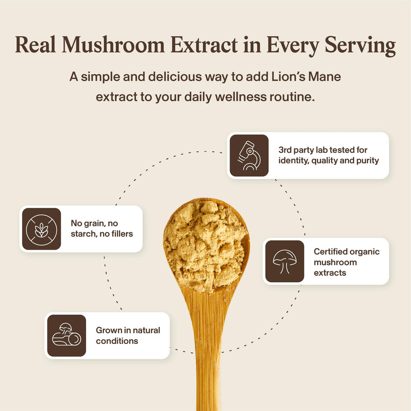 Real Mushrooms Lions Mane Capsules - Organic Mushroom Extract With Immunomodulating Properties Antioxidants Vegan Brain Supplement, 120 🍁 All In One Marketplace Canada
