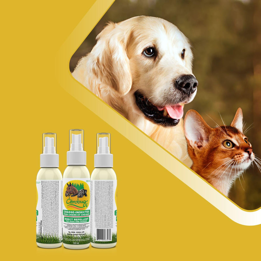 Citrobug Essential Oils Based Insect Repellent for Dogs and Horses - No Deet, 122 ml 🍁 All In One Marketplace Canada