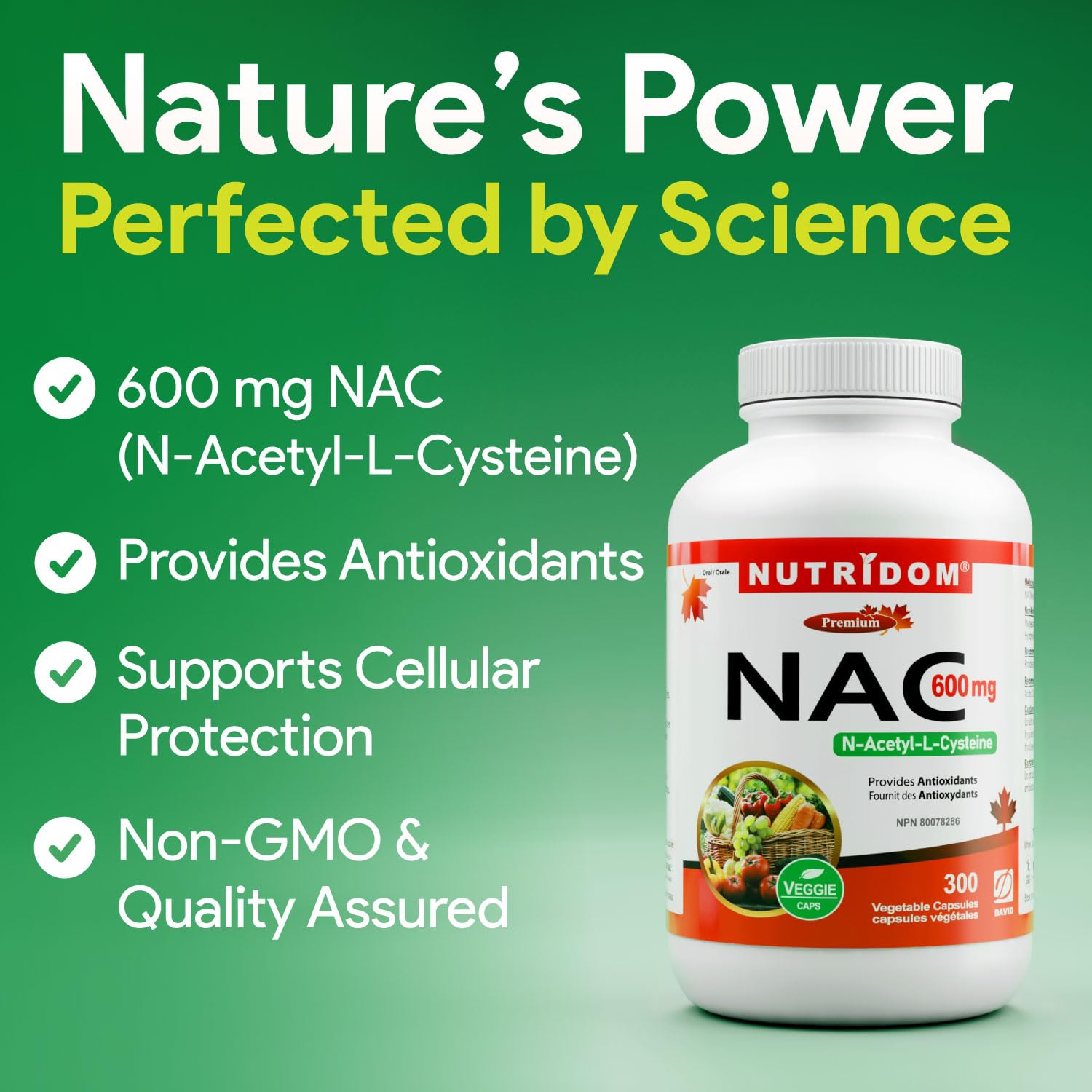 Nutridom NAC 600 mg, 300 Capsules, Canadian-Made N-Acetyl-L-Cysteine Supplement, Non-GMO, Vegan, Gluten Free, Made in Canada 🍁 All In One Marketplace Canada