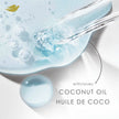 Dove Coconut Restore Shampoo & Conditioner for Damaged Hair, with Liquid Bio-Protein Care, 355 ML (2 Shampoo + 2 Conditioner) 🍁 All In One Marketplace Canada
