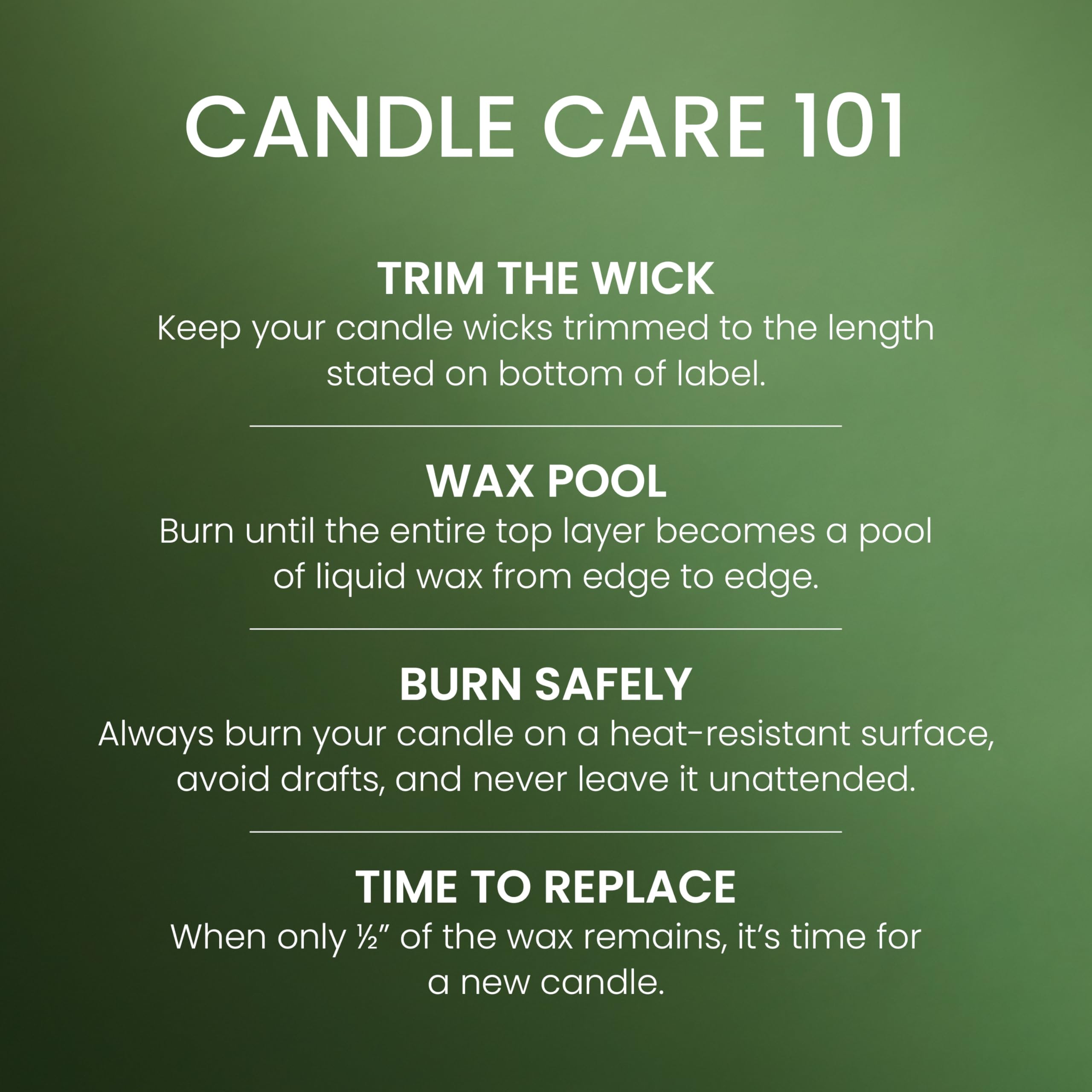 Yankee Candle Large Jar Scented Candle with up to 150 Hour Burn Time, Premium Plant Wax Blend for Cleaner Consistent Burn and Room Filling Fragrance, 22 oz, Balsam Cedar 🍁 All In One Marketplace Canada