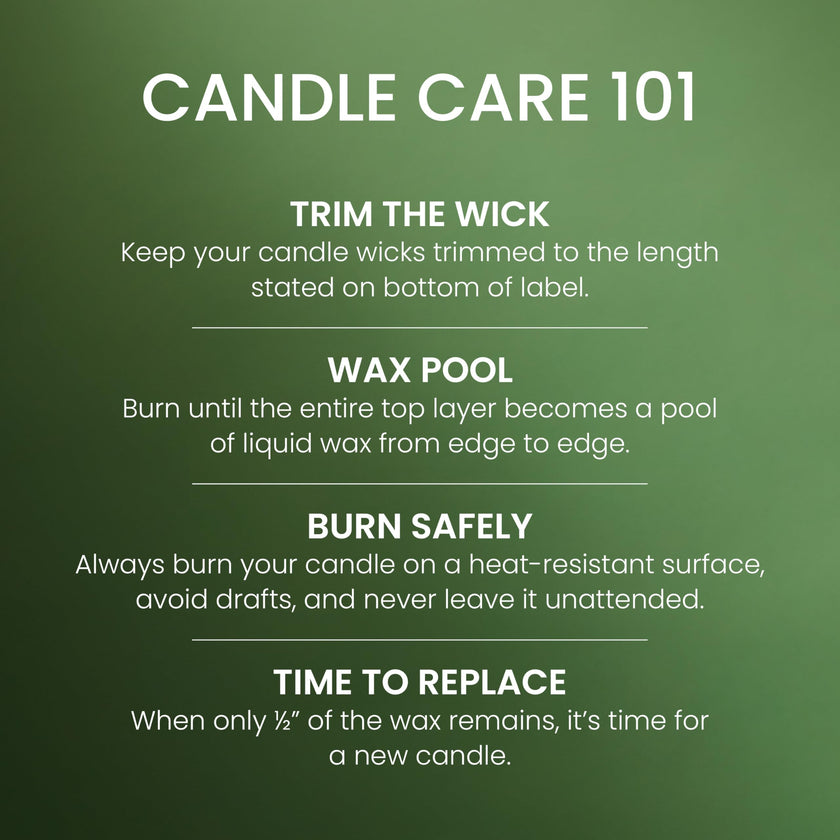 Yankee Candle Large Jar Scented Candle with up to 150 Hour Burn Time, Premium Plant Wax Blend for Cleaner Consistent Burn and Room Filling Fragrance, 22 oz, Balsam Cedar 🍁 All In One Marketplace Canada