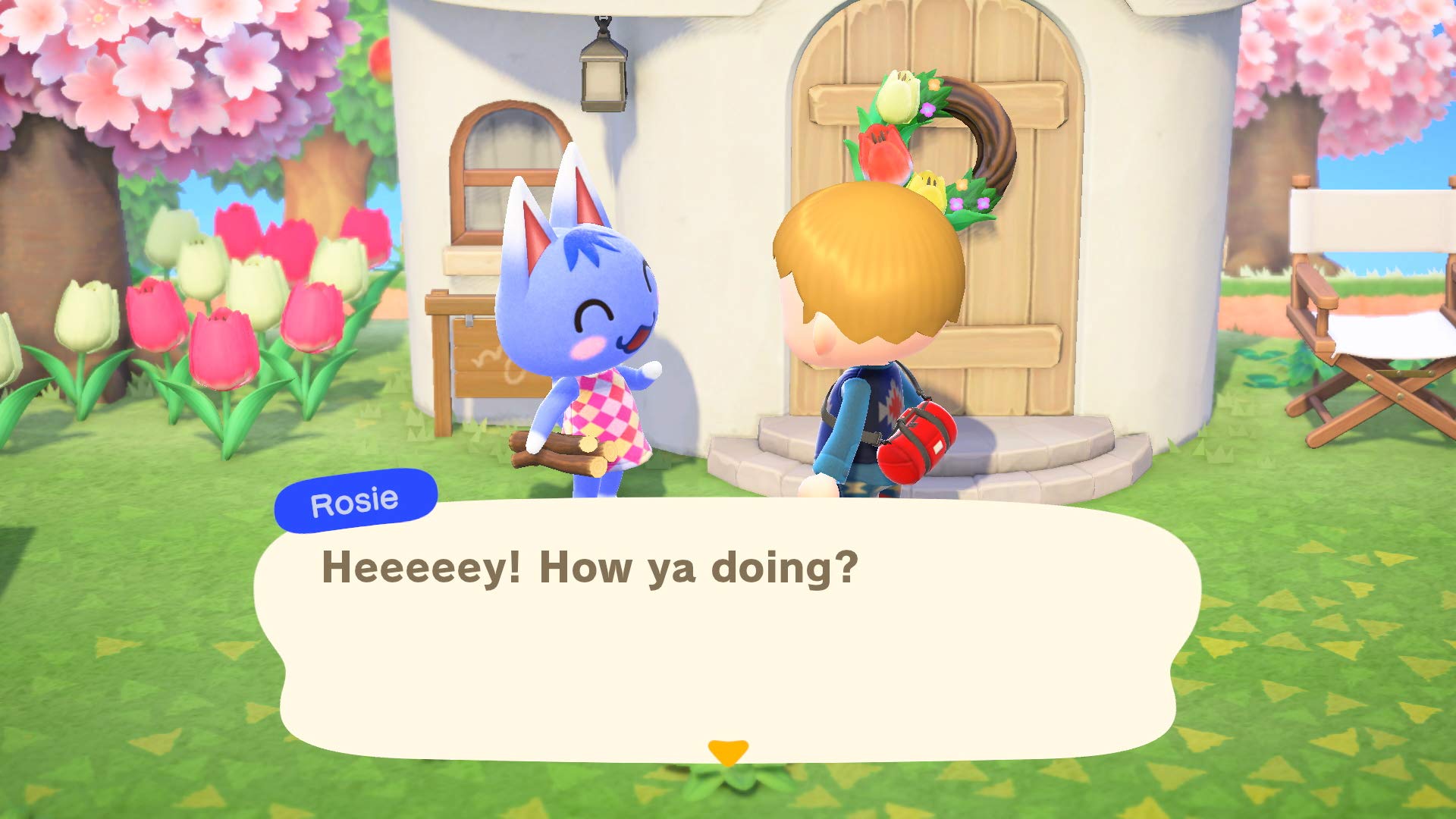 Animal Crossing: New Horizons (CAN Version) 🍁 All In One Marketplace Canada