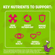 FLINTSTONES Complete Chewable Multivitamin for Kids, Aspartame-Free, with Vitamin A, C6, B12, C, D, e, & Calcium 150 count 🍁 All In One Marketplace Canada