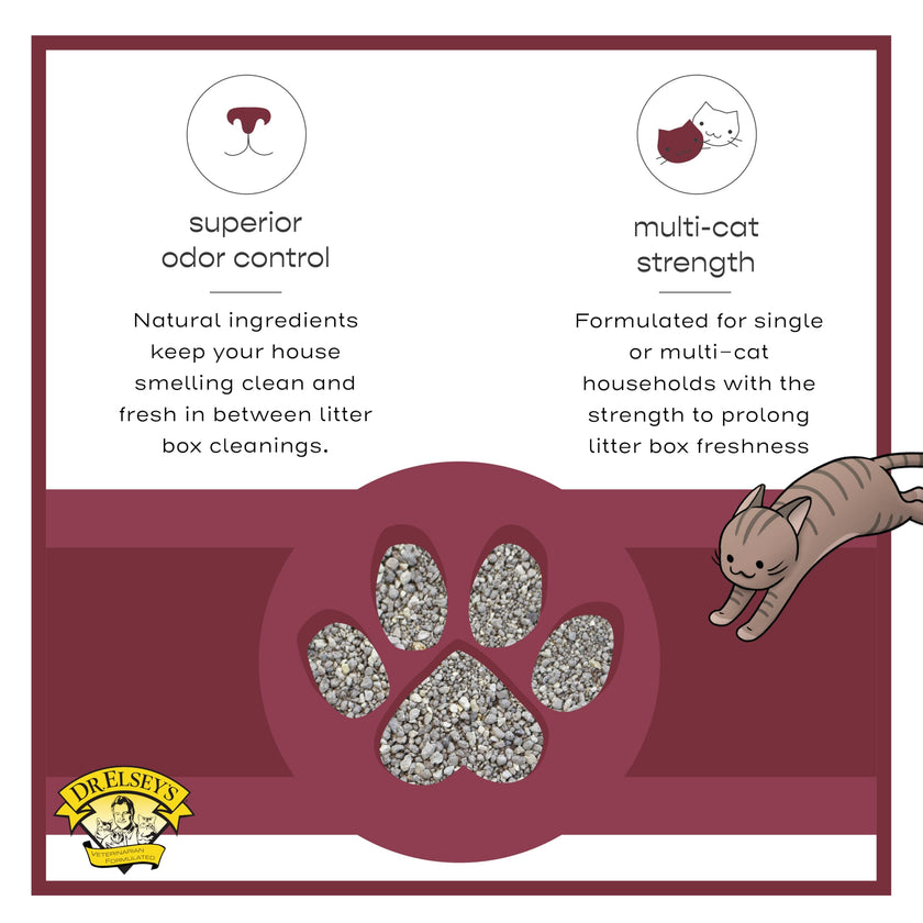 Precious Cat Classic Premium Clumping Cat Litter, 40 Pound Bag 🍁 All In One Marketplace Canada
