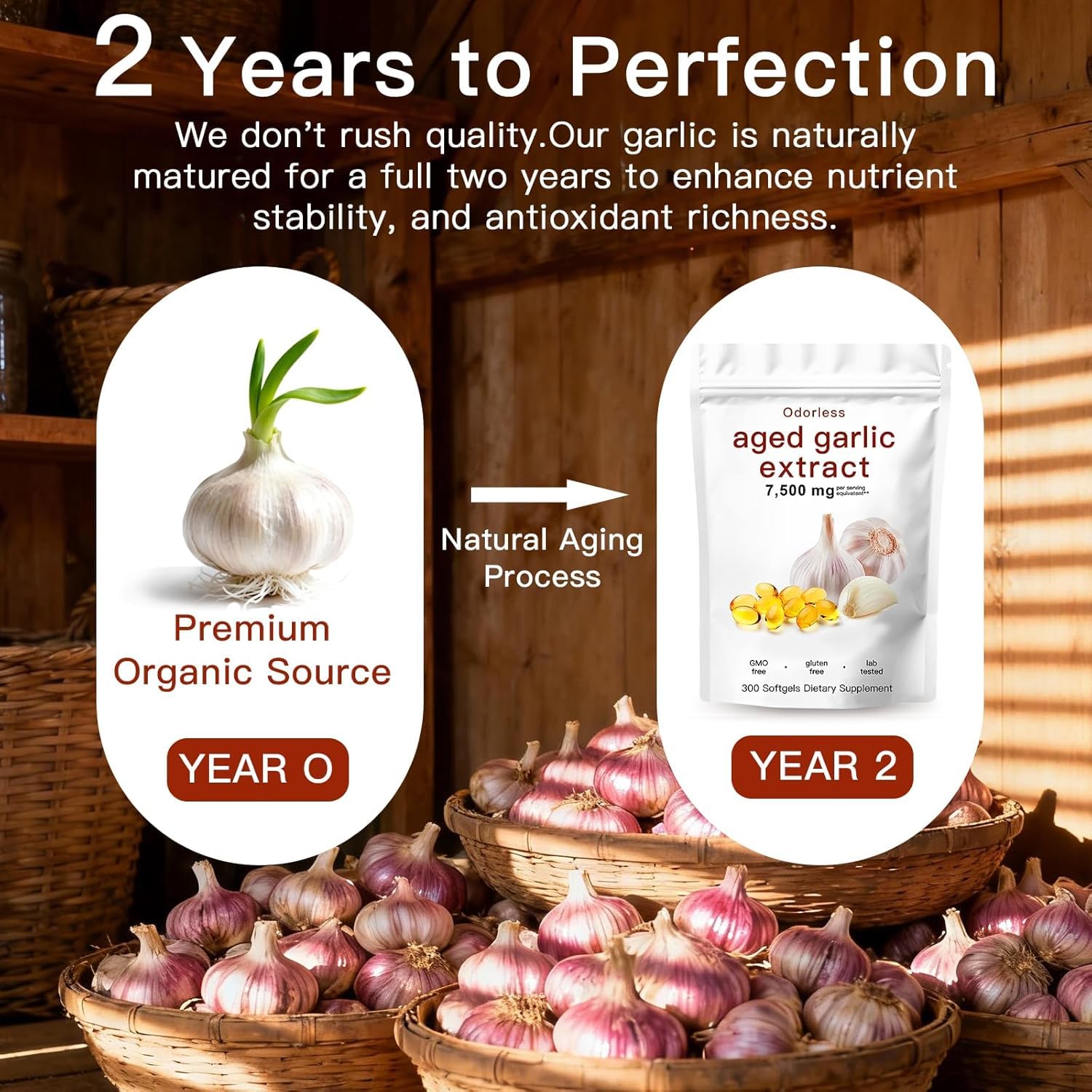 Aged Garlic Extract Capsules 7500mg Odorless – 300 Count Aged Garlic Supplement for Immune Support，Organic, Non-GMO, Vegetarian Softgels(1 PCS) 🍁 All In One Marketplace Canada