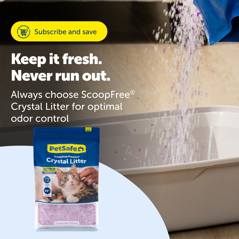 ScoopFree Premium Lavender Scent Crystal Litter, Superior Odor Control, Absorbs 5X Faster, Low Tracking for Less Mess, Lasts up to 2 Months, Lightly Scented (8 lb Bag) 🍁 All In One Marketplace Canada