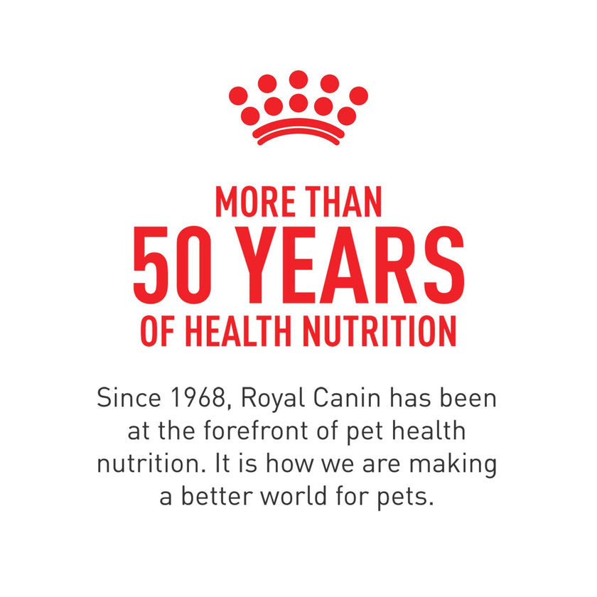 Royal Canin Adult Cat Sensitive Digestion Dry Adult Cat Food, 3.5 lb Bag 🍁 All In One Marketplace Canada
