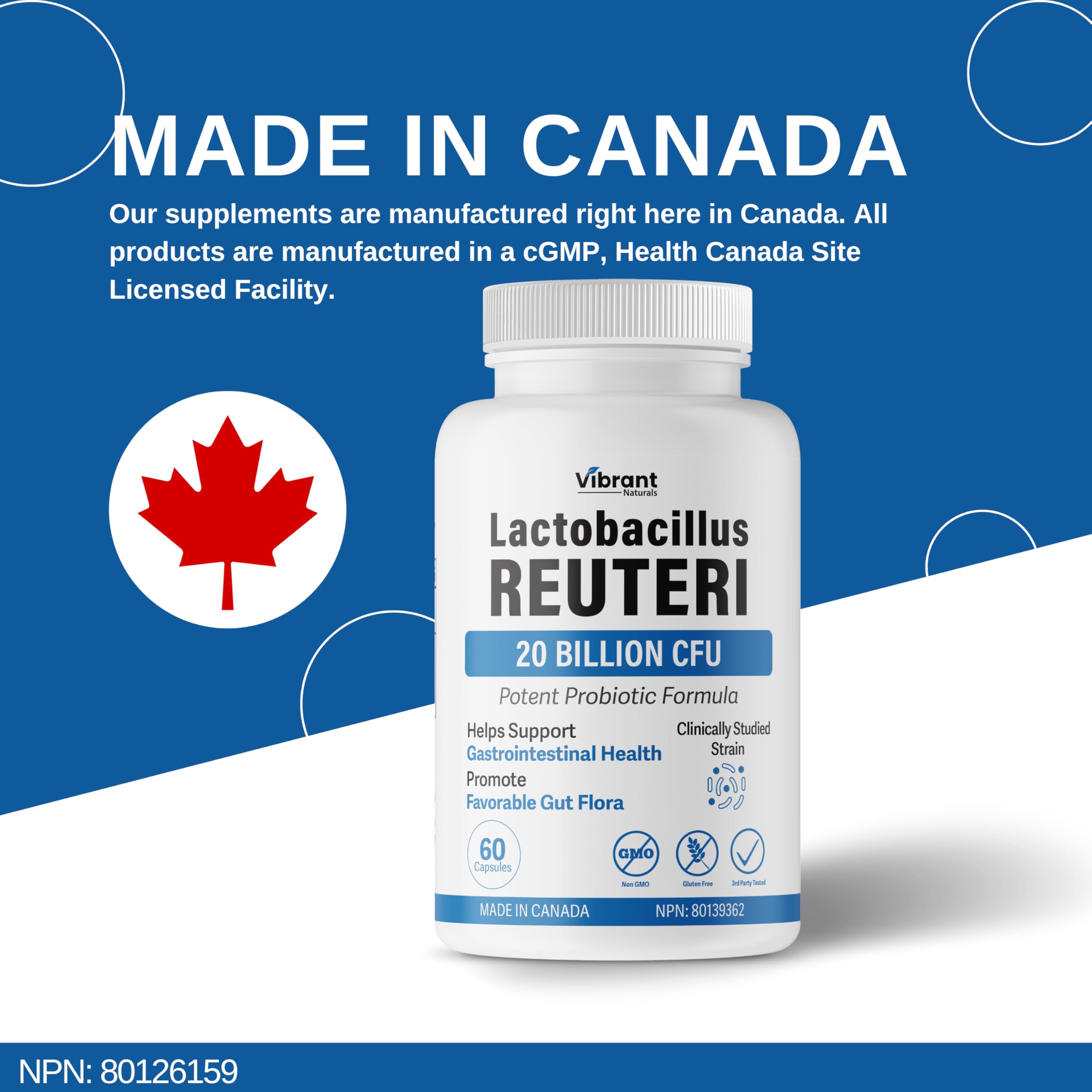Lactobacillus Reuteri Probiotic 20 Billion CFU - L Reuteri Probiotic - Highest CFU Count, Gut Health, Yogurt Starter Culture, Probiotic With Prebiotic FOS, Made In Canada, 60 Capsules 🍁 All In One Marketplace Canada