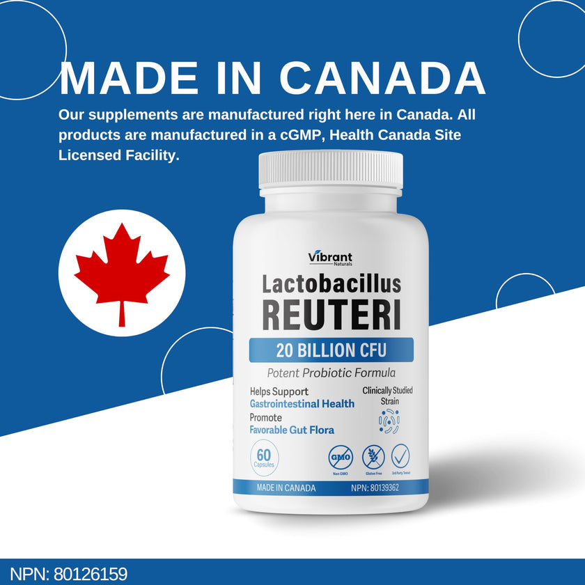 Lactobacillus Reuteri Probiotic 20 Billion CFU - L Reuteri Probiotic - Highest CFU Count, Gut Health, Yogurt Starter Culture, Probiotic With Prebiotic FOS, Made In Canada, 60 Capsules 🍁 All In One Marketplace Canada