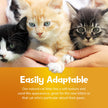 SmartCat 6506 All Natural Clumping Litter 20 Lbs 🍁 All In One Marketplace Canada