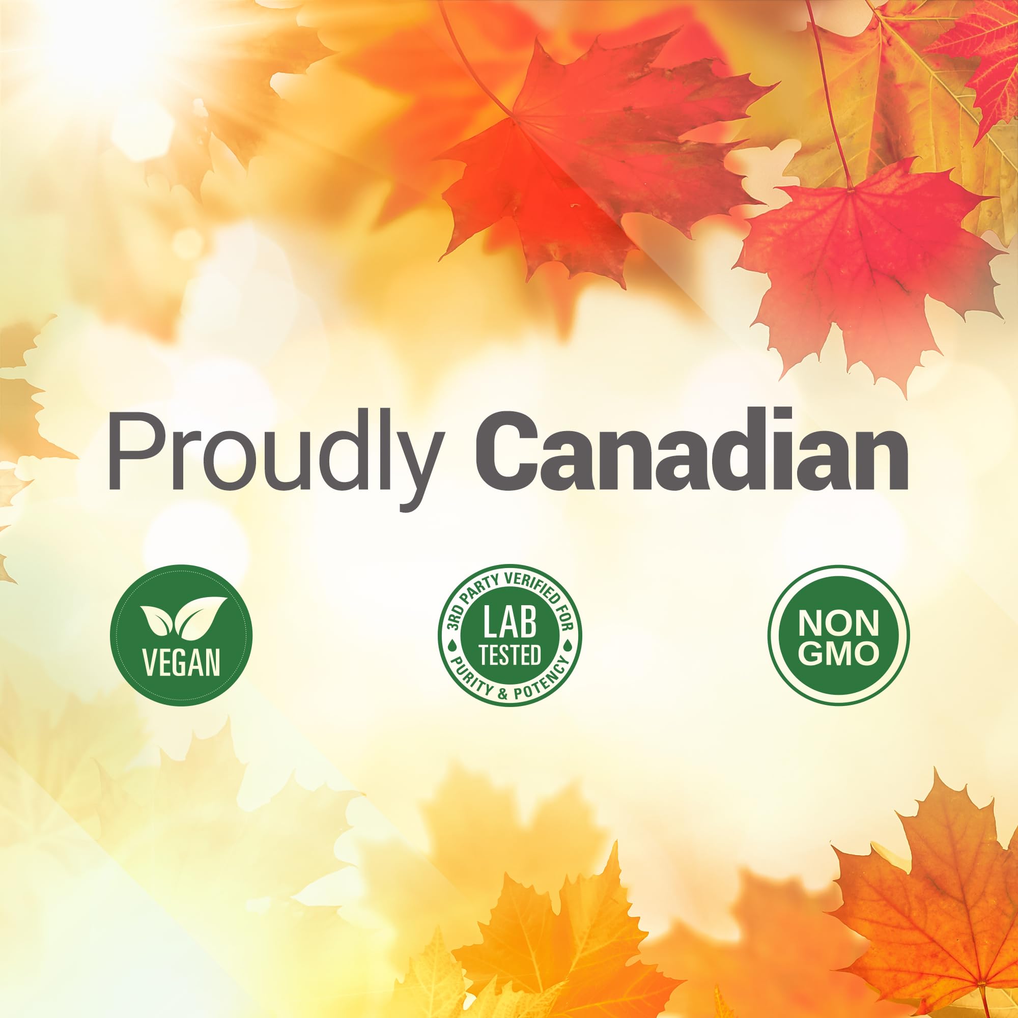 Nested Naturals Choline Bitartrate 500mg Per 2 Capsules | High Potency Choline Supplements | Supports Cognitive & Liver Function | 100% Vegan & Non-GMO Choline | 90 Vegan Capsules 🍁 All In One Marketplace Canada