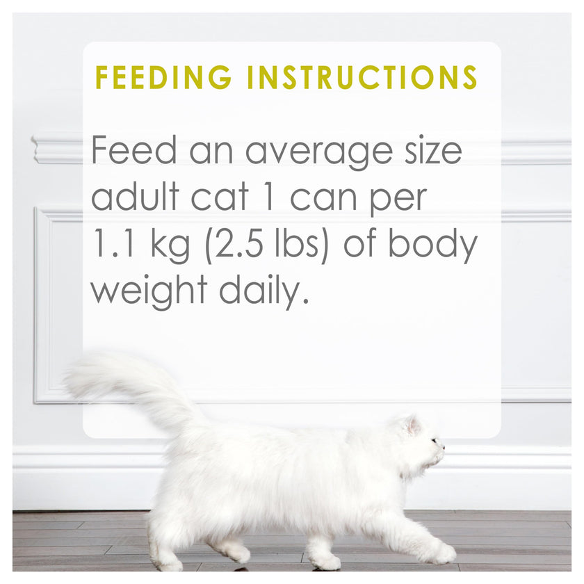 Fancy Feast Medleys Wet Cat Food, White Meat Chicken Primavera - 85 g Can (24 Pack) 🍁 All In One Marketplace Canada