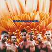 Rammstein / Herzeleid - CD (Used)