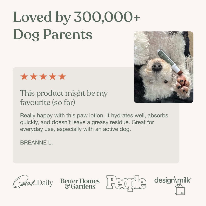 Dandylion Dog Paw Balm, Soft Paws, Paw Moisturizer for Dogs, Dog Lotion with Brush, Fragrance Free pH Balanced Lotion for Paws, Lightweight Moisture for Dry Cracked Paw Pads and Nose, 0.6 fl oz 🍁 All In One Marketplace Canada