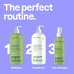 ATTITUDE Nourishing Hair Shampoo, Made in Canada, EWG Verified, For Dry and Damaged Hair, Naturally Derived Ingredients, Vegan and Plant Based, Grapeseed Oil and Olive Leaves, 946 mL 🍁 All In One Marketplace Canada